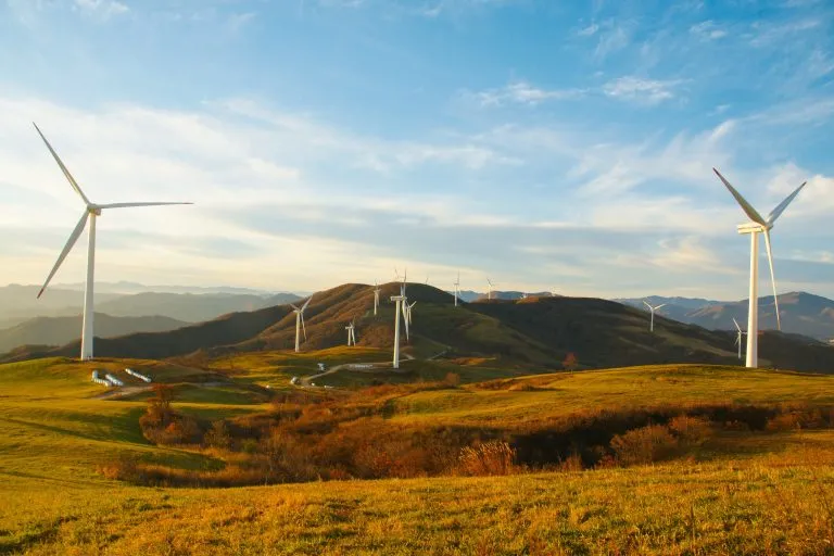 Estudis ambientals i certificacions energètiques per reduir l’impacte ambiental